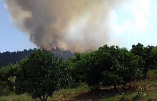 Kastamonu’da ormanlık alanda çıkan yangın kontrol...