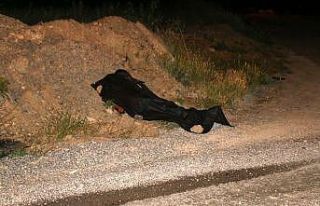 Kavga ihbarına giden ekipler, silahla vurulmuş ceset...