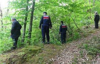 Kayıp adamı bulmak için ekipler seferber oldu