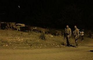 Kayıp hayvanlar, gece görüş termalleriyle bulundu