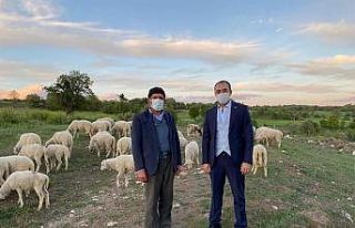 Kaymakam Pelvan: ’’Aslanapa’da hayvancılık...
