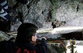 Kayseri Büyükşehir İtfaiyesi can kurtarmaya devam...