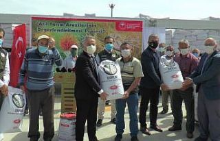 Kayseri’de 800 çiftçiye 50 ton kuru fasulye tohumu...