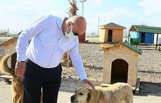 Keçiören Belediyesinden rekor tedavi hizmeti