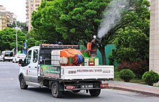 Keçiören Belediyesinden sineksiz yaz için ilaçlama...