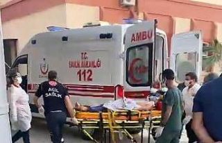 Kediyi vurmak isterken yanlışlıkla amcasının...