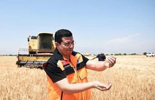 Kepez’de hasat başladı