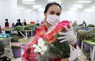 Kesme çiçek sektörü pandemi krizini fırsata çevirdi