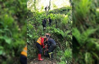 Kestiği ağacın altında kalan yaşlı adam hayatını...