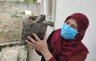 Kibrit kutusunda getirdi, 3 yıl terlik içerisinde...