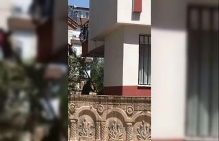 Kiracısına kızdı, 2 metrelik sopa ile saldırdı