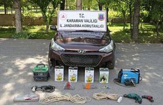 Kiralık otomobille köylerden ne bulduysa çaldı