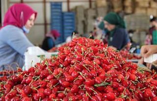 Kirazda rekolte düştü fiyatlar arttı