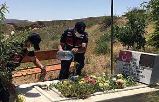 Kırıkkale’de jandarma şehit mezarlarının bakımını...