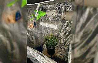 Kırklareli’nde uyuşturucu yetiştiren 2 kişi...