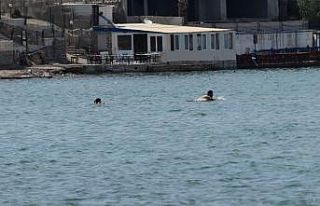 Kısıtlama dinlemediler, tenha yerlerde denizin keyfini...