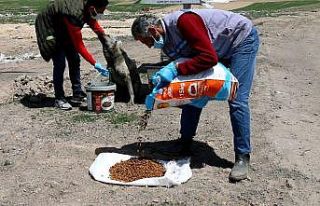Kısıtlamada can dostlar unutulmadı