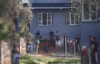 Kısıtlamada horoz dövüşü kamerada