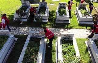 Kızılay gönüllülerinden Amasya şehitliğinde...