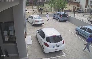 Kızlar cep telefonunu çalan kapkaççıyı böyle...