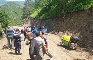 Kontrolden çıkan patpat tarlaya uçtu: 4 yaralı