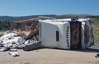 Kontrolden çıkan tır devrildi: 2 yaralı