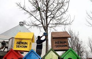 Konya’da şehir geneline kuş evleri monte edildi