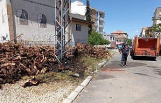 Kopan elektrik teli yangına neden oldu