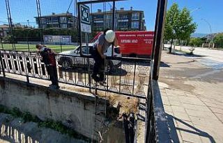 Köpek korkusundan sığındığı köprü altında...