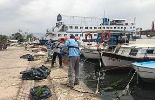 Körfez’deki deniz marulları temizleniyor