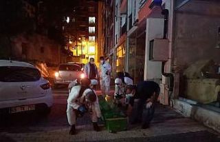 Kötü koku vahşeti ortaya çıkarttı