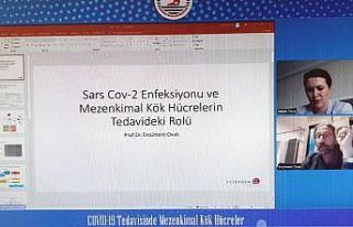 Kovid-19 tedavisinde mezenkimal kök hücre çare...