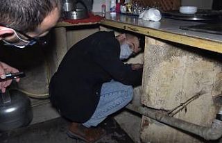 Kumar baskınında ceza yememek için tuvalete ve...