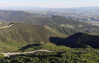 Kunduz Ormanları’nda zararlı böcekler arttı,...