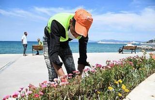 Kuşadası Belediyesi’nden sahil şeridine yaz dokunuşu