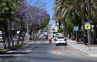 Kuşadası’nda Jakaranda ağaçları çiçek açtı