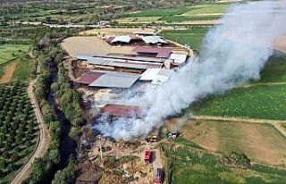 Kuyucak’taki yangında bin tondan fazla saman zarar...