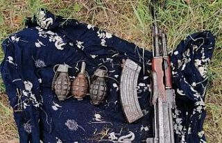 Lice’de narko-terörizm operasyonu