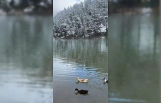 Limni Gölü Tabiat Parkı’ndan eşsiz görüntüler