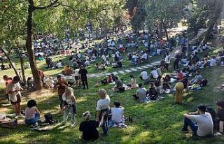 Maçka Parkı’nda korkutan görüntü: Yüzlerce...