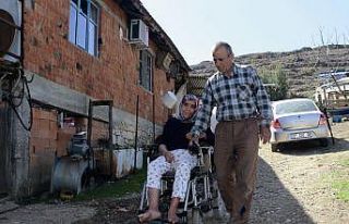 Mahmut amcanın yüreklere dokunan aşk hikâyesi