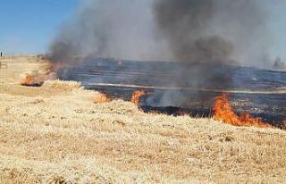 Makineden sıçrayan kıvılcım tarlayı küle çevirdi