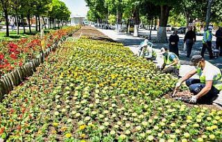 Malatya’da parklar çiçeklerle süsleniyor