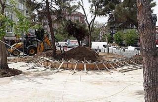 Maltepe Belediyesi Atatürk Parkı’nı yeşillendiriyor