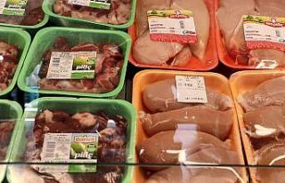 Mangal tutkunlarının hevesi kursağında kalacak