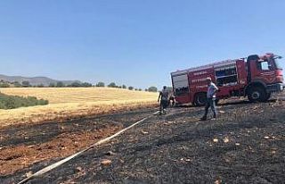 Manisa’da 20 dönüm arpa ekili alan küle döndü