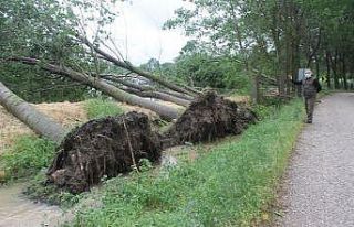 Manyas’ta fırtına ve yağmur maddi hasara yol...