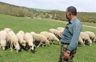 Manyas’ta tarımsal faaliyetler devam ediyor