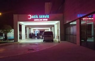 Mardin’de hayvan otlatma kavgası: 1 yaralı
