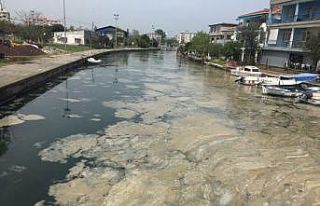 Marmara Deniz’inde "deniz salyası" istilası...